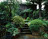 STEPS LEAD TO RAISED AREA WITH SECLUDED CLIMBER CLAD PAGODA HOSTA AND IVY IN POT BESIDE BENCH. DESIGNER: J.BILLINGTON