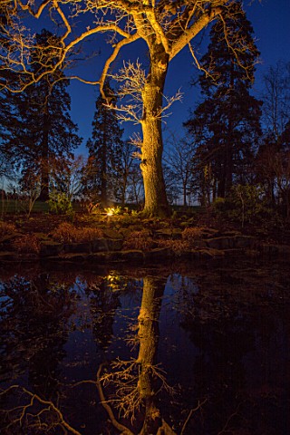 MORTON_HALL_WORCESTERSHIRE_NIGHT_TIME_LIGHTS_LIGHTING_EVENING_WATER_GARDEN_COUNTRY_HOUSE_TREES_POOL_
