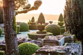 RODMARTON MANOR, GLOUCESTERSHIRE, WINTER. FEBRUARY - THE TROUGHERY. CLIPPED TOPIARY YEW, DAWN LIGHT, SUNRISE, THE MANOR, ENGLISH, COUNTRY, GARDEN