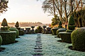 RODMARTON MANOR, GLOUCESTERSHIRE, WINTER. FEBRUARY - FROST, PATH THROUGH THE TROUGHERY. CLIPPED TOPIARY YEW, DAWN LIGHT, SUNRISE, THE MANOR, ENGLISH, COUNTRY, GARDEN