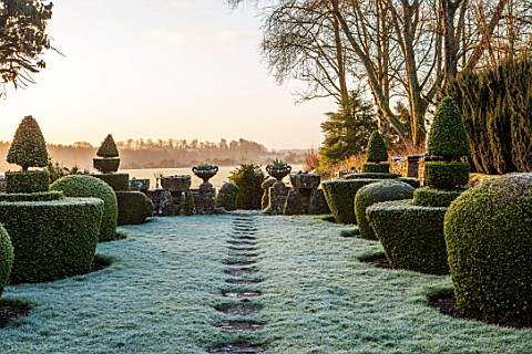 RODMARTON_MANOR_GLOUCESTERSHIRE_WINTER_FEBRUARY__FROST_PATH_THROUGH_THE_TROUGHERY_CLIPPED_TOPIARY_YE