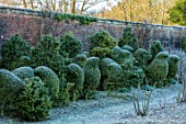 RODMARTON MANOR, GLOUCESTERSHIRE, WINTER. TOPIARY GEESE IN THE VEGETABLE, KITCHEN GARDEN. BOX, BUXUS, CLIPPED, FORMAL, ENGLISH, COUNTRY, GARDEN