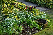 LITTLE COURT, HAMPSHIRE - BORDER WITH STONE WATER TROUGH, BOWL, GALANTHUS, ACONITES AND HELLEBORES, PATH, FEBRUARY, WINTER, GARDEN, BORDERS