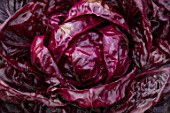 RHS GARDEN, WISLEY, SURREY: CLOSE UP PLANT PORTRAIT OF CHICORY GRUMOLE ROSSA. ABSTRACT, VEGETABLES, LEAVES, LEAF, BICOLORS