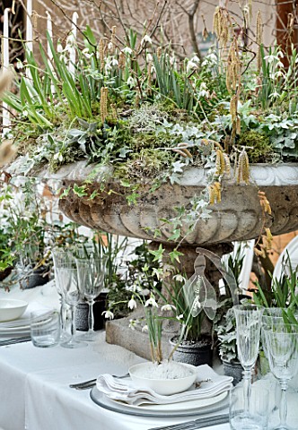 RHS_LONDON_EARLY_SPRING_PLANT_SHOW_LINDLEY_HALL_FEBRUARY_WINTER_URN_TABLE_CENTREPIECE_SNOWDROP_BANQU