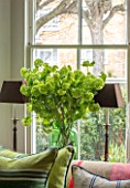 BUTTER WAKEFIELD HOUSE, LONDON: SITTING ROOM. CUSHIONS, WINDOW, GREEN GLASS BOTTLE WITH LIME GREEN VIBURNUM FLOWERS