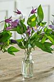 BUTTER WAKEFIELD HOUSE, LONDON: KITCHEN TABLE - GLASS BOTTLE WITH CLEMATIS CUT FLOWERS