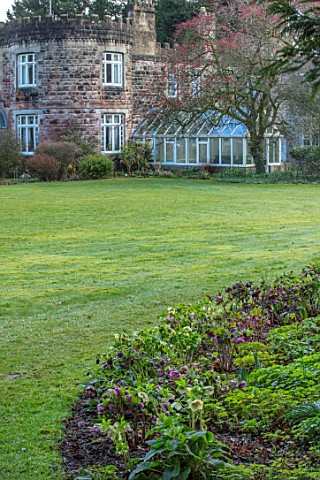 KAPUNDA_PLANTS_BATH_LAWN_AND_HELLEBORE_BORDER_WITH_HOUSE_IN_BACKGROUND_MARCH_BORDERS_LAWNS_GREENHOUS