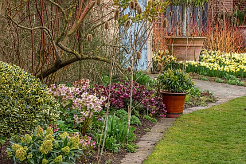 JOHN_MASSEY_GARDEN_ASHWOOD_NURSERIES_WORCESTERSHIRE_LAWN_BORDER_WITH_HELLEBORES_CONTAINER_WITH_SKIMM