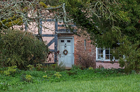 OLD_COUNTRY_FARM_WORCESTERSHIRE_VIEW_TO_FRONT_DOOR_OF_HOUSE_COTTAGE_WITH_GREY_DOOR_AND_HELLEBORE_WRE