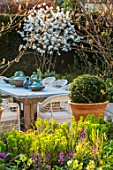 ASCOT SPRING GARDEN SHOW: THE COURTYARD DESIGNED BY JOE PERKINS: TABLE, CHAIRS, TERRACOTTA CONTAINER, CLIPPED BOX, TOPIARY, PATIO, AMELANCHIER LAMARKII, HEDGES, HEDGING, DINING