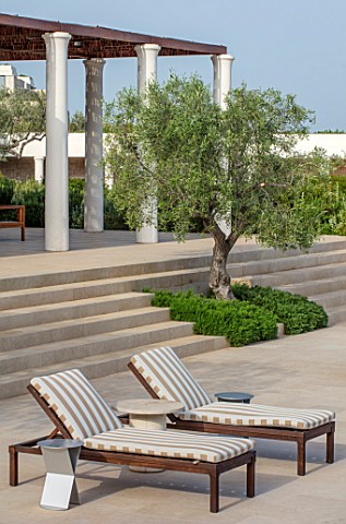 PORTO_HELI_GREECE_DESIGNER_THOMAS_DOXIADIS_VILLA_GARDEN_OLIVE_TREE_GROWING_OUT_OF_STEPS_WITH_ROSEMAR