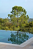 PORTO HELI, GREECE, DESIGNER THOMAS DOXIADIS: PINE TREE REFLECTED IN SWIMMING POOL. REFLECTIONS, WATER, REFLECTED, SPRING, LANDSCAPES, GREEK