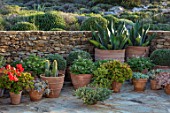 ANTIPAROS, GREECE, DESIGNER THOMAS DOXIADIS: PATIO, CACTUS GROWING IN TERRACOTTA CONTAINERS, SUCCULENTS, SPIKEY