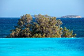 ANTIPAROS, GREECE, DESIGNER THOMAS DOXIADIS: SWIMMING POOL AND OLIVE TREE BESIDE THE SEA