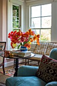 THE OLD PARSONAGE, LITTLE BREDY,DORSET: THE SITTING ROOM WITH JUG OF TULIPS PICKED FROM THE GARDEN. VASE,FLORAL ARRANGEMENT,INTERIOR,HOME.
