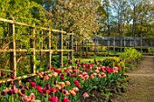 PARHAM HOUSE AND GARDENS, SUSSEX: BORDER WITH TULIPS - LA BELLE EPOQUE, BLACK HERO AND RED ANTRACIET. BULBS, FLOWERS, BLOOMS, SPRING