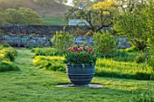 PARHAM HOUSE AND GARDENS, SUSSEX: MEADOW AND CONTAINER PLANTED WITH TULIPS - TULIPA BROWN UGAR AND TULIPA RECREADO. SPRING, BULBS, FLOWERS, FLOWERING
