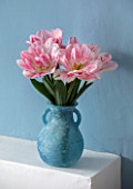 THE CONIFERS, OXFORDSHIRE: STILL LIFE OF TULIPA - TULIP PEACH BLOSSOM. FLOWERS, BLOOMS, BULBS, SPRING, PALE, PINK, BLUE, WALL