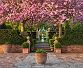 MITTON MANOR, STAFFORDSHIRE: PATH, TERRACOTTA CONTAINER, STEPS, CHERRY BLOSSOM, OBELISK, CLIPPED, TOPIARY, SPRING, PRUNUS, BLOSSOM, PINK, FLOWERS, SYMMETRY