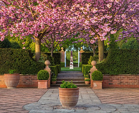 MITTON_MANOR_STAFFORDSHIRE_PATH_TERRACOTTA_CONTAINER_STEPS_CHERRY_BLOSSOM_OBELISK_CLIPPED_TOPIARY_SP