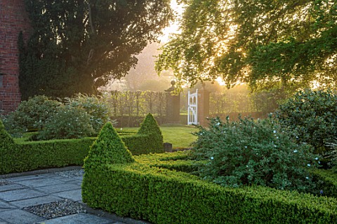 MITTON_MANOR_STAFFORDSHIRE_CLIPPED_TOPIARY_BOX_HEDGING_WHITE_GATE_MORNING_LIGHT_DAWN_SUNRISE_HEDGES_