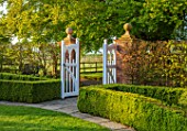 MITTON MANOR, STAFFORDSHIRE: CLIPPED TOPIARY BOX HEDGING, WHITE GATE, MORNING LIGHT, DAWN, SUNRISE, HEDGES, BUXUS, GATES, LAWN