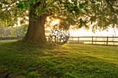MITTON MANOR, STAFFORDSHIRE: BEECH TREE AND BUBBLE SWING SEAT BY MYBURGH DESIGNS, MORNING LIGHT, DAWN, SUNRISE, SPRING, ENGLISH, COUNTRY, GARDEN, SEATING, SEATS, SWINGS, CHAIRS