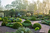 MITTON MANOR, STAFFORDSHIRE: PATH, CLIPPED TOPIARY BOX, BUXUS, SPRING, HEDGES, SYMMETRY, FORMAL, ENGLISH, COUNTRY GARDEN, EVERGREEN, SHRUBS, BIRCH, BETULA, GREEN