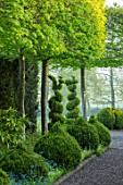 MITTON MANOR, STAFFORDSHIRE: PATH, CLIPPED TOPIARY BOX, BUXUS, HORNBEAM, HEDGES, HEDGING, SPRING, SYMMETRY, FORMAL, ENGLISH, COUNTRY GARDEN, EVERGREEN, GREEN, SPIRALS