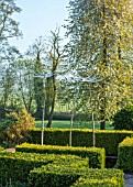 MITTON MANOR, STAFFORDSHIRE: TOPIARY GARDEN, FORMAL, COUNTRY, BOX, TOPIARY, HEDGES, HEDGING, EVERGREEN, SPRING, NEIL WILKIN SCULPTURES