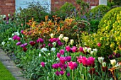MORTON HALL, WORCESTERSHIRE: BORDER WITH PINK AND TULIPS BESIDE LAWN - TULIPA MARIETTE, SPRING GREEN, LASTING LOVE, RECREADO, BULBS, LAWN, BORDERS, FLOWERS, FLOWERING
