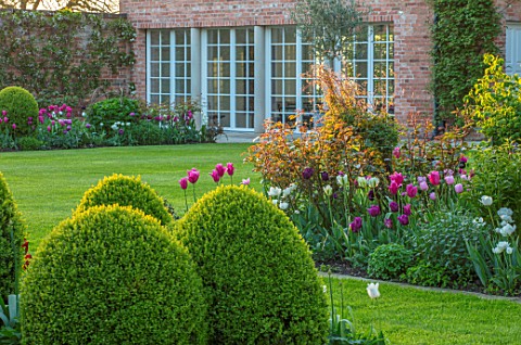 MORTON_HALL_WORCESTERSHIRE_BORDER_BESIDE_LAWN_PINK_WHITE_TULIPS_AND_ROSES_BORDERS_COUNTRY_GARDENS_FL