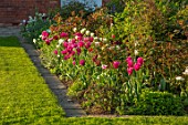 MORTON HALL, WORCESTERSHIRE: BORDER WITH PINK AND TULIPS BESIDE LAWN - TULIPA MARIETTE, SPRING GREEN, LASTING LOVE, RECREADO, BULBS, LAWN, BORDERS, FLOWERS, FLOWERING