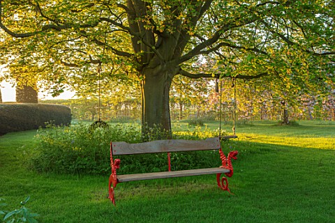 THE_MANOR_HOUSE_STEVINGTON_BEDFORDSHIRE_LAWN_TREE_AND_DRAGON_SEAT_BENCHES_SPRING