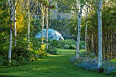 THE MANOR HOUSE, STEVINGTON, BEDFORDSHIRE: PATH ALONG LAWN PAST WHITE STEMMED BIRCH, BETULA JACQUEMONTII TO HOUSE AND SOLARDOME, SUMMER, ENGLISH, COUNTRY, GARDEN