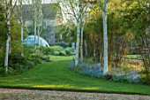 THE MANOR HOUSE, STEVINGTON, BEDFORDSHIRE: PATH ALONG LAWN PAST WHITE STEMMED BIRCH, BETULA JACQUEMONTII TO HOUSE AND SOLARDOME, SUMMER, ENGLISH, COUNTRY, GARDEN