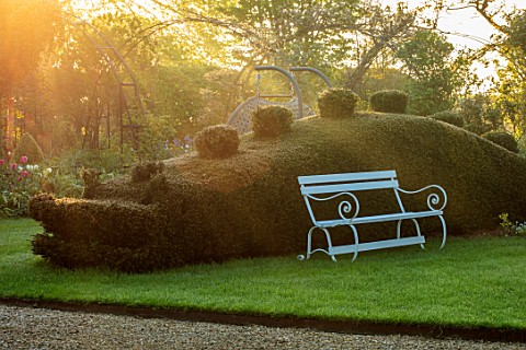 THE_MANOR_HOUSE_STEVINGTON_BEDFORDSHIRE_DRAGON_CLIPPED_TOPIARY_YEW_HEDGING_HEDGES_WOODEN_SEAT_BENCHE