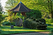 THE MANOR HOUSE, STEVINGTON, BEDFORDSHIRE: DRAGON CLIPPED TOPIARY YEW HEDGING, HEDGES, SUMMERHOUSE, SUMMER HOUSE, SUMMERHOUSES, WICKER SEAT