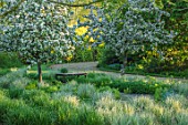 THE MANOR HOUSE, STEVINGTON, BEDFORDSHIRE: WOODEN BENCH WITH CALAMAGROSTIS ACUTIFLORA OVERDAM IN SPRING. BLOSSOM, WHITE, FLOWERS, PETALS