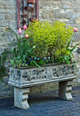THE MANOR HOUSE, STEVINGTON, BEDFORDSHIRE: PATIO, TERRACE, STONE, TROUGH, PLANTED WITH TULIPS