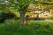 THE MANOR HOUSE, STEVINGTON, BEDFORDSHIRE: TREE SEAT, ENGLISH, COUNTRY, GARDEN, SPRING
