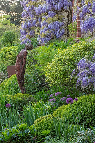 CHILWORTH_MANOR_SURREY_LAWN_WALLED_GARDEN_PURPLE_WISTERIA_CLIMBING_OVER_WALL_METAL_SCULPTURE_OF_WOMA