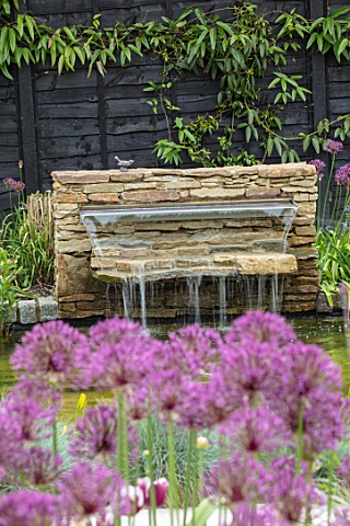 THE_MOONGATE_GARDEN_SUSSEX__STONE_WATER_FEATURE_FOUNTAIN_SPOUT_ALLIUM_FIRMAMENT_BLACK_PAINTED_FENCE_