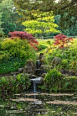 CHILWORTH MANOR, SURREY: ORIGINAL MONASTIC STEWPOND WITH WATERFALL AND JAPANESE MAPLES IN SPRING