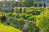 CHILWORTH MANOR, SURREY: THE WALLED GARDEN. STEPS, WALLS, CLIPPED TOPIARY BOX, BUXUS, GATE, BORROWED LANDSCAPE, WHITE WISTERIA