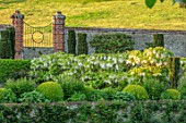 CHILWORTH MANOR, SURREY: THE WALLED GARDEN. WALLS, CLIPPED TOPIARY BOX, BUXUS, GATE, BORROWED LANDSCAPE, WHITE WISTERIA