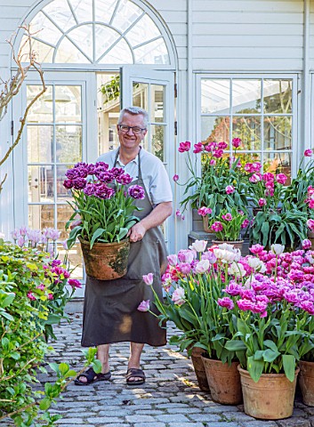 CLAUS_DALBY_GARDEN_DENMARK_CLAUS_ARRANGING_TERRACOTTA_CONTAINERS_OF_TULIPS_BESIDE_THE_CONSERVATORY_G