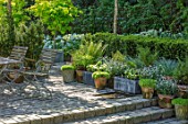 CLAUS DALBY GARDEN, DENMARK: THE SUNKEN GARDEN, SPRING. STEPS, TERRACOTTA CONTAINER WITH HOSTAS AND SHADE LOVING PLANTS. PATIO, TERRACE