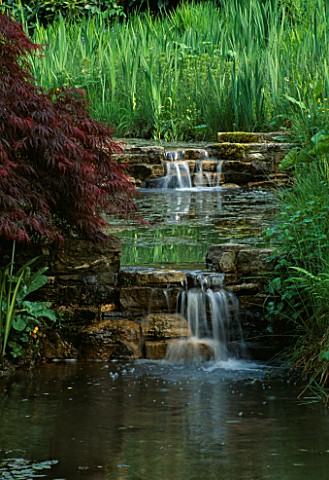 STREAM_WITH_DOUBLE_WATERFALL_OVER_ROCKS_OVERHUNG_BY_ACER_LITTLE_COOPERS__HAMPSHIRE